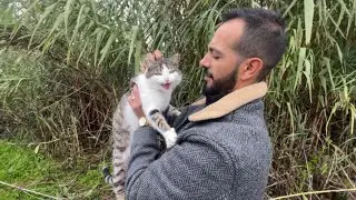The friendly stray cat is annoyed by being carried in arms.