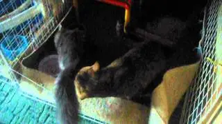 MOV05081