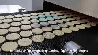 Skywin small soft biscuit production line