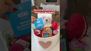 Surprising Chyler with a Valentine&rsquo;s BAE BASKET! #valentines #shopping #haul #jellycat #starbucks