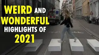 From toilet trained cows to rotating houses, weird and wonderful highlights of 2021