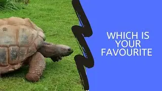Paignton zoo 2021