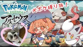 犬ポケ縛りアルセウス第11回(25.11.5)