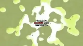 Fatsky Fatpo Effects