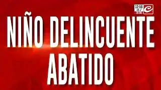 Estalló la polémica: ¿qué hacer con los menores chorros?