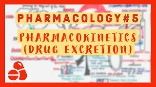 Pharmacology #5 - Pharmacokinetics (Drug Excretion)