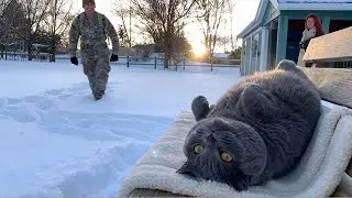 🥰 🐈🐈 Why Do Cats' Eyes Light Up Like Fireworks When Dad Returns After Years? #cat