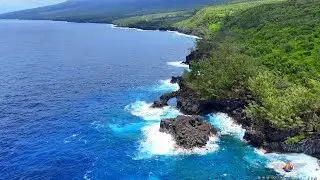🇷🇪 Arche de Bois Blanc à l’île de La Réunion