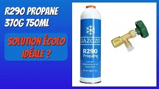 AVIS (2025) : R290 Propane 370g 750ml. D&Eacute;TAILS