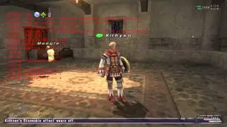 Final Fantasy XI 30FPS versus 60FPS