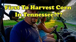 First To Harvest Corn In Tennessee???  7/8/22
