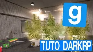 COMMENT FAIRE de la WEED ? - TeamPeinard DarkRP
