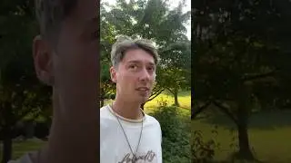 Я думаю порядок это … #мысливслух #порядок #система #идея