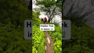 Offbeat Trek in Jaipur 🌿 #shorts #shortsfeed #fypシ゚viral #fypシ゚ #trending #viralvideo #ytshorts