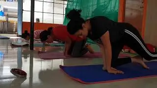 Mayurasana, Practical way of learning & teaching. Safe Practice.