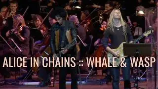 Symphony Legacy :: Alice in Chains perform Whale & Wasp with live Orchestra