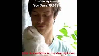 Comfort Zone Cat Calming Pheromone Collar for Cats #shorts #catcalming