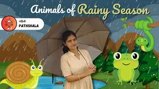 Discover Animals in Rainy Season | For Nursery, JR KG and SR KG | Pahili Pathashala