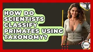 How Do Scientists Classify Primates Using Taxonomy? - Anthropology Insights
