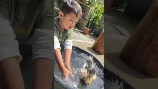 No vas a creer c&oacute;mo este ni&ntilde;o ba&ntilde;a a su patito. 😍