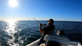 Epic Local Sheephead Fishing!