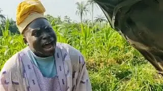 Car repair with an African father | Ogbeni Adan