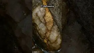 FINDING GOLD 5 #shorts