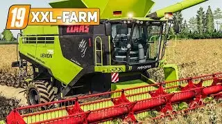 LS19 XXL Farm #21: Der CLAAS Lexion 795 Monster im Einsatz! | LANDWIRTSCHAFTS SIMULATOR 2019