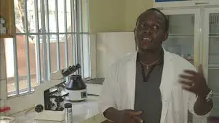 PharmAccess International: The Business of Quality in Health