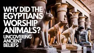 Why Did the Egyptians Worship Animals? Uncovering Ancient Beliefs