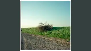 Nest