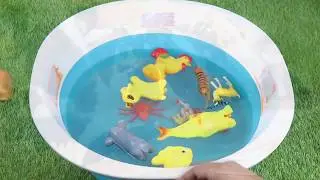 Learn Sea Zoo Farm Animals Names For Kid Surprise Animal - Octopus Shark - Fun Video Wild Animals