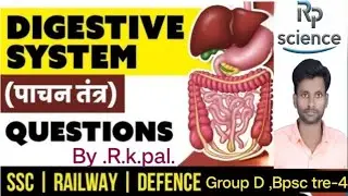 MCQ digestive system,Class  | Digestive System Questions |Railway Science Free BatchAM#By.R.k.pal