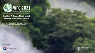 Preparations and priorities for the XV World Forestry Congress- Webinar 28 July 2020