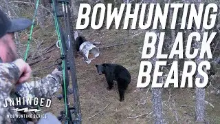 Bowhunting Black Bears (WCB Unhinged Series)