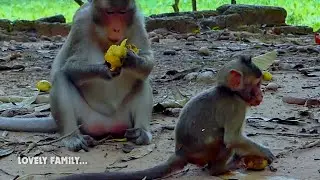 So sweet! Anna well train Anissa to find food, Good girl Anissa so grow