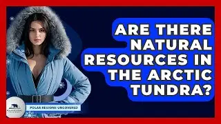 Are There Natural Resources In The Arctic Tundra? - Polar Regions Uncovered