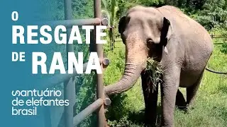 Resgate Rana - Dezembro 2018