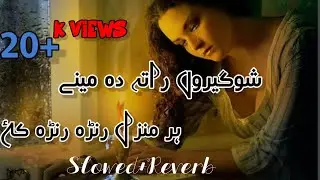 Shogero Rata Da Meny Har Manzel Rarra Rarra Ka || Pashto New Ghazal 2024