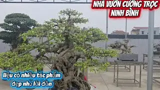 Đã mắt với những tác phẩm đẳng cấp trong không gian của NV Cường trọc