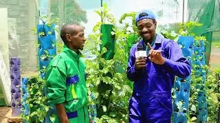 YOUNGEST FARMER SAYS HYDROPONICS FARMING IS FIT FOR URBAN PEOPLE ,HIGHLY PRODUCTIVE AND ECONOMICAL.