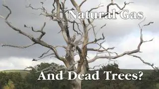 Want to know the TRUTH about natural gas?