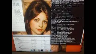 termux-setup-storage