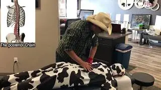 The 8 point plank