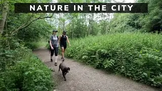 7 miles of urban greenery after work - Meanwood Valley Trail
