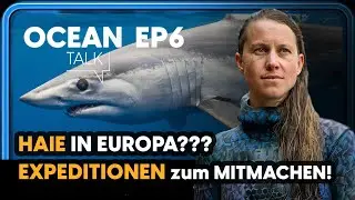 HAIE ERFORSCHEN 🦈 mit Ocean Collective | 🌊 Ocean Talk #6