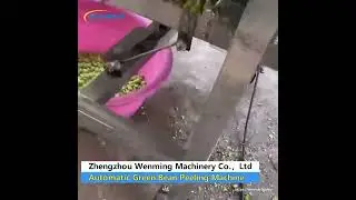 Automatic Green Bean Peeling #machine #food