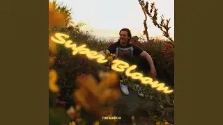 SUPERBLOOM