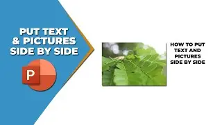 How to put text and pictures side by side in PowerPoint