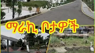 አዲስ አበባ ውስጥ ያሉ የጉብኝት ቦታዎች/Places to be visited in Addis Ababa